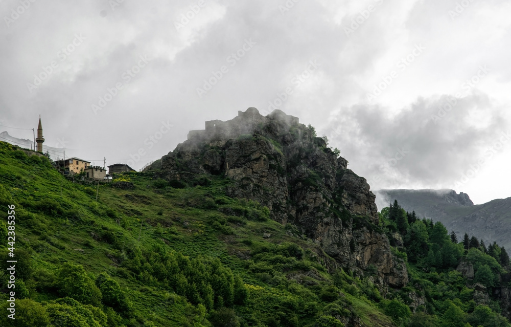 Obraz premium Ancient ruined castle and spring mountain valley 