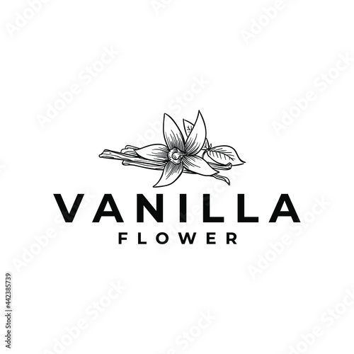 Vanilla Flower Spice Herb And Pods Drawing Logo Vector Illustration Template Icon Design 