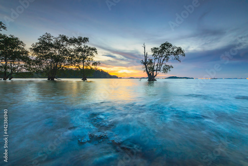  Beautiful sunset with rocky fourgrounds and mangrove trees on the coast of Tanjung on the edge of Batam Island © Dwi