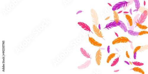 Orange purple pink red feather floating background
