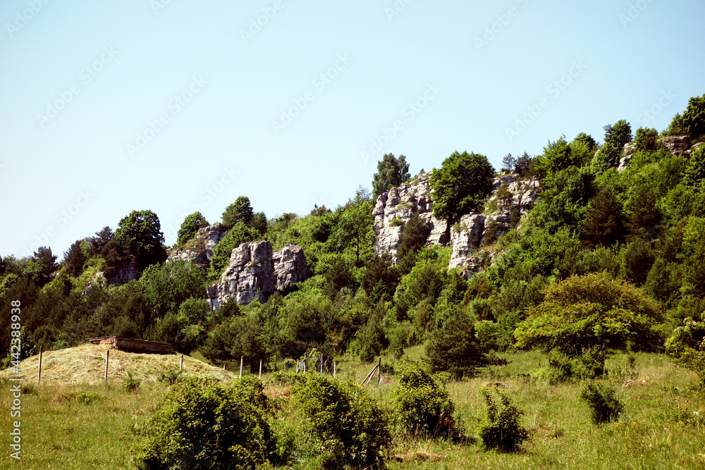 Beautiful travertine rocks called travertine mound in Dreveník not far from Spišské Podhradie, the largest travertine area in Slovakia