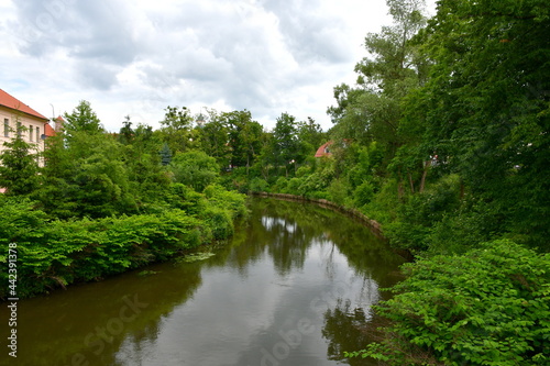 A view of a vast yet shallow lake flowing through a small Polish city, with both of its banks being covered with trees, shrubs, and other kind of flora seen right before the storm in summer