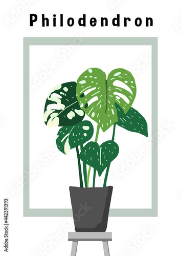 Philodendron | Monstera water color style vector