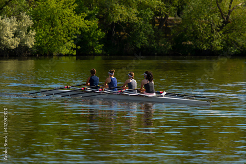 Scullers sculling to propel their long narrow boats through the water on a lake surrounded by thick vegetation and green trees. Some crews are using two oars and other individuals are use one oar