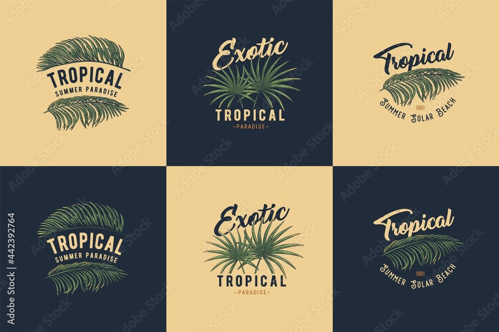 Tropical or exotic plant for t-shirt print. Hawaii and summer surfing. Palm for tropic surf design