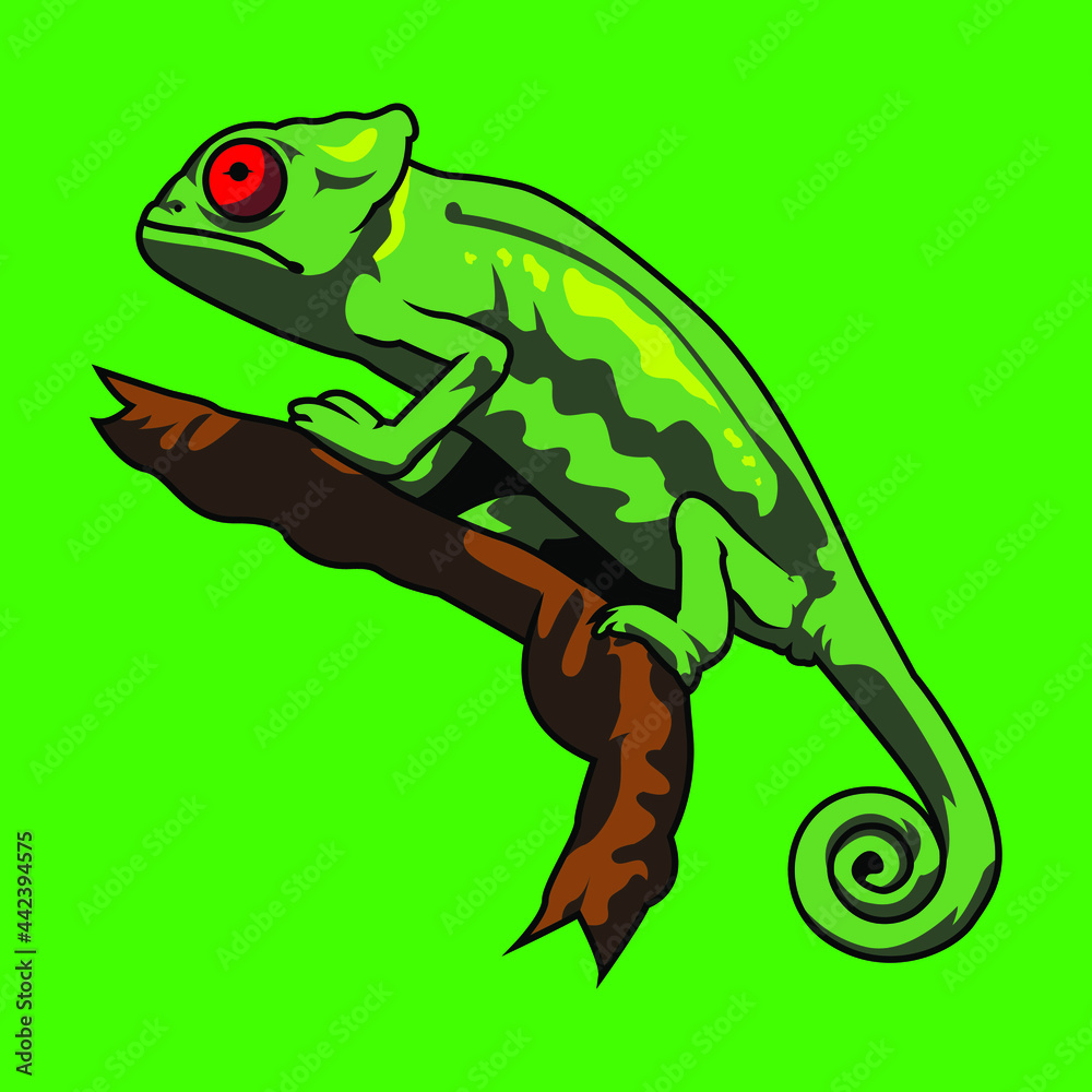 Fototapeta premium Chameleons are a family of lizards. Most can change the colour of their skins for camouflage, or to signal mood to other chameleons.