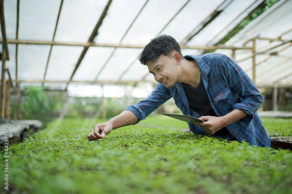 Young business man using a tablet checking the farm. Asian man checking the farm with digital farming metode. Digital and Smart farming ideas Young business man using a tablet checking the farm. Asian man checking the farm with digital farming metode. Digital and Smart farming ideas