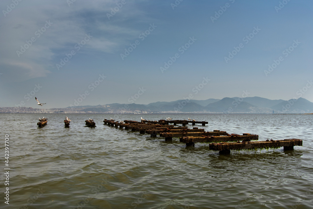 unfinished pier in the sea and seagulls on it