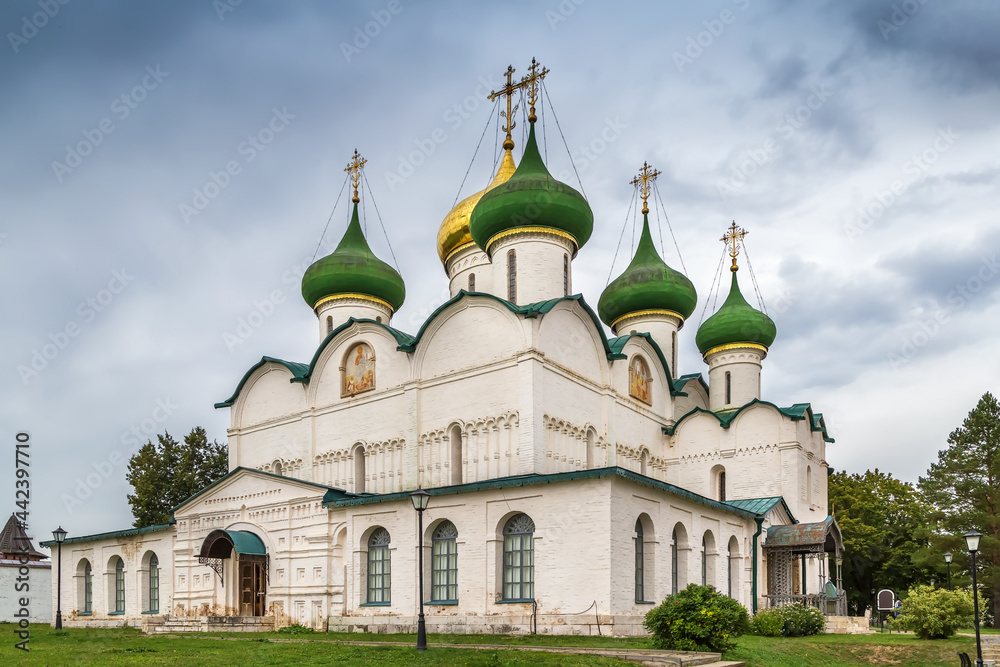 Monastery of Saint Euthymius, Suzdal, Russia