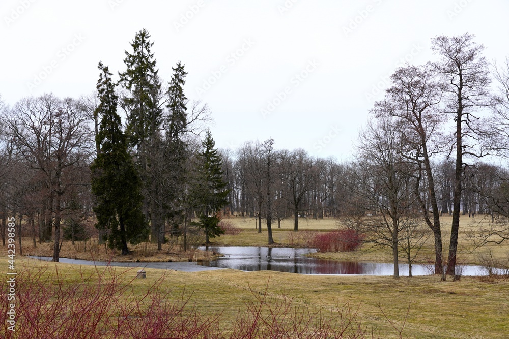 Old park with pound. Autumn or spring. Field and trees without leaves. Grey sky. High quality photo