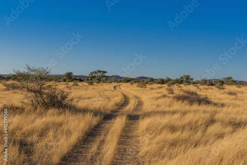landscape on the grounds of the Ovita Wildlife Restcamp, Okahandja, Namibia photo