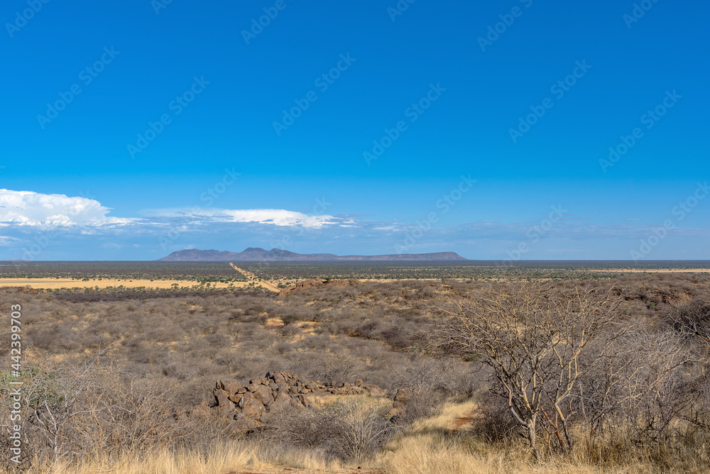 landscape on the grounds of the Ovita Wildlife Restcamp, Okahandja, Namibia landscape on the grounds of the Ovita Wildlife Restcamp, Okahandja, Namibia
