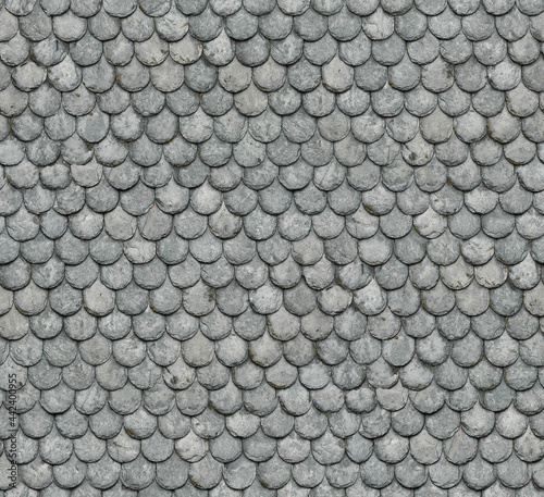 Seamless Texture of Slate Tiles Roofing