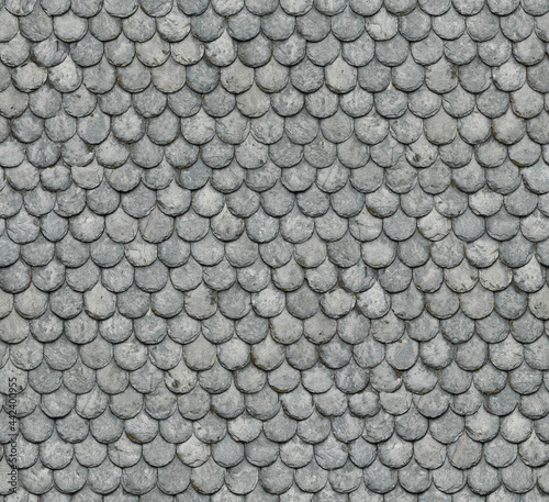 Seamless Texture of Slate Tiles Roofing