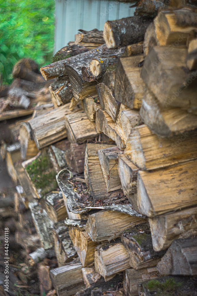 Fototapeta premium stack of firewood