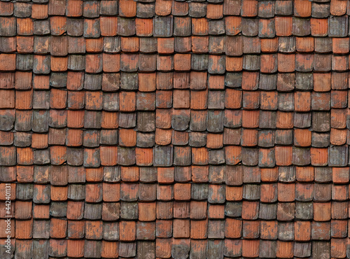 Seamless Texture of Slate Tiles Roofing