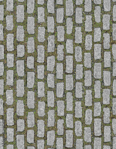 Roads / Streets Paving Stones Seamless Texture