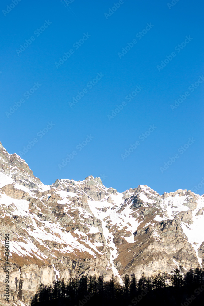 Trees silhouette against a snowy high mountain in italian Alps near Mont Rosa