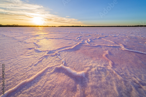 Low angled view of a pink salt lake at sunset photo