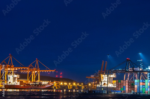 Cranes at the edge of the container terminal in the port of Gdynia, Poland.
