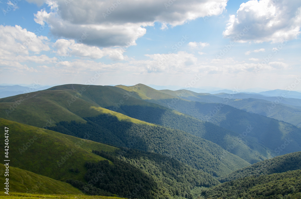 Colorful mountain landscape with hills covered by meadows with green grass and forest under blue sky with clouds. Carpathian mountains, Ukraine