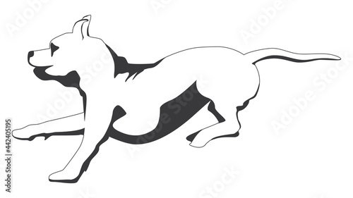 Outline running brindle Staffordshire terrier or pitbull isolated on white. Vector illustration.
