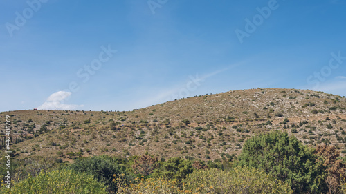 Scenic landscape of mountainous arid area. Hot sunny summer day. Southern nature. Dry grass. Green trees and bushes on hill.