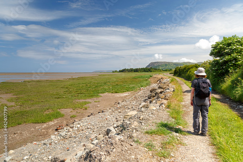 A single female walker walking away from viewer along the Wales Coastal Path at Llanfairfechan photo