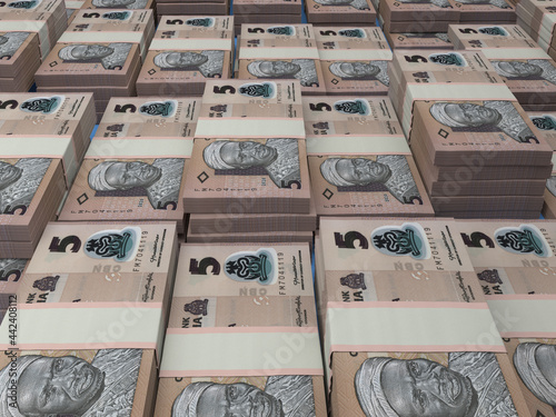 Nigerian money. Nigerian naira banknotes. 5 NGN polymer bills.