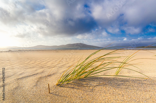 Sunset over the sands at TLuskentyre Beach with sea grass and pattern sand, Outer Hebrides, Scotland