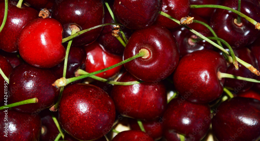 ripe red cherry. delicious sweet berry. background for the design. ripe red cherry. delicious sweet berry. background for the design.