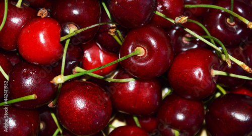 ripe red cherry. delicious sweet berry. background for the design.