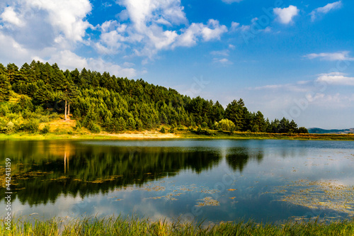 Picturesque, summer landscape.  View of a peaceful pond surrounded by lush vegetation. Korca (Korça ) region,  Albania photo