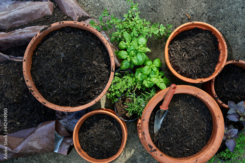 Φωτογραφία Overhead view of herbs ready to plant in container garden pots