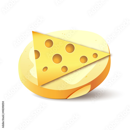 Cheese sandwich illustration 