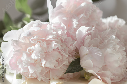 Fototapeta Naklejka Na Ścianę i Meble -  Bouquet of pastel peonies on the table. Flower concept with copy space. Stylish bouquet of pink and white flowers on pastel cloth. Close-up