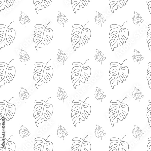 Seamless natural pattern of monstera leaves in the style of lines on a white background