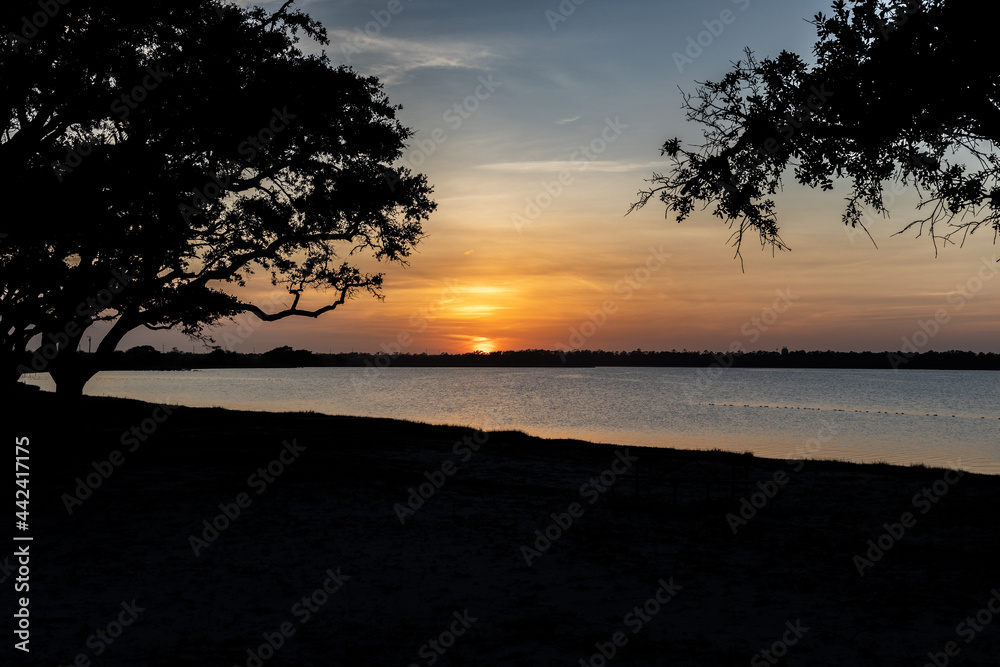 A low sunset on the coast between two trees in silhouette 