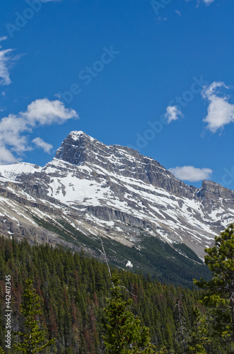 Mountain Scenery from the Icefields Parkway