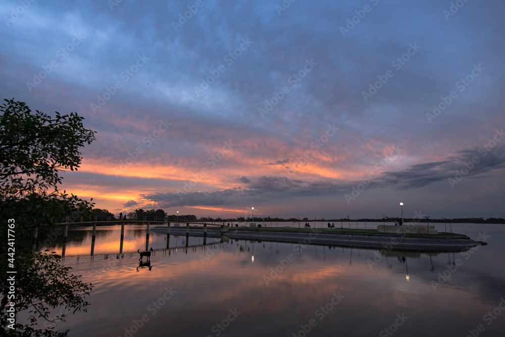 Fototapeta premium Little island in Navarro Lagoon -a little town of Buenos Aires Province, Argentina- at sunset. It is a common tourristic destination in the summer. 