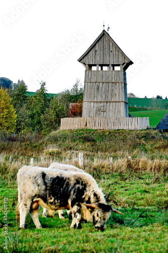 Turmhügelburg Lütjenburg - Mittelalterliche Burg