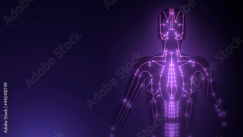 Glowing diagram of acupuncture points on the human body	 photo