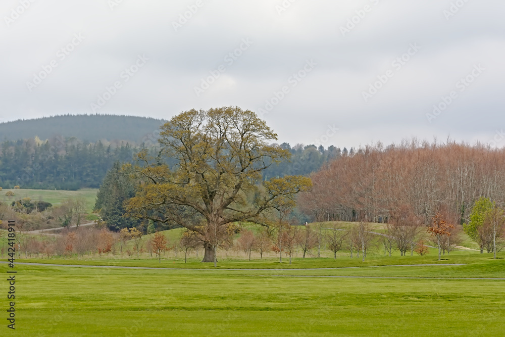 Golf course with spring trees of Powerscourt estate in Wicklow mountain landscape on a cloudy day 