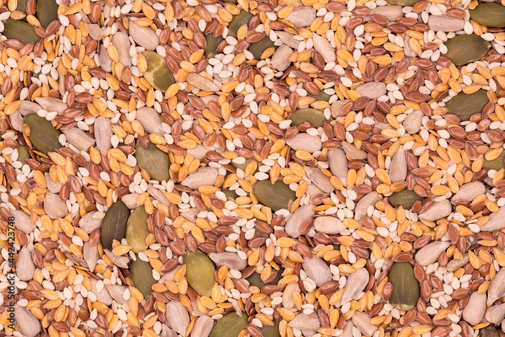 Surface of a flat seeds with sesame, flax, pumpkin and sunflower seeds Surface of a flat seeds with sesame, flax, pumpkin and sunflower seeds