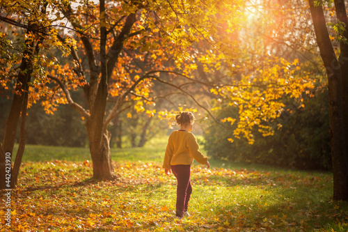 Pretty cute little girl walks in autumn park.Beauty fall sunny park.Autumn fashion © SNAB