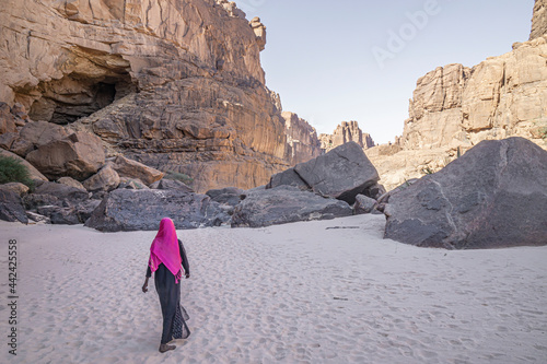 Panorama inside canyon aka Guelta d'Archei in East Ennedi, Chad, Africa photo