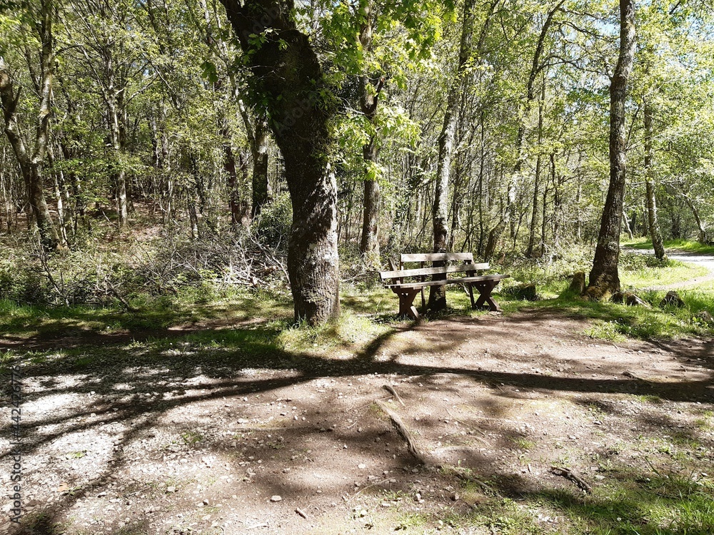 Pequeña área de descanso en las inmediaciones del río Forxa en Guitiriz, Galicia