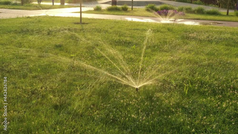 Nozzle for automatic watering of lawn grass Nozzle for automatic watering of lawn grass