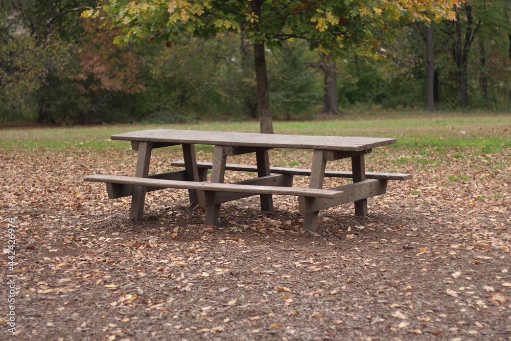 Table with bench and leaves on the ground, autumn in the park Table with bench and leaves on the ground, autumn in the park