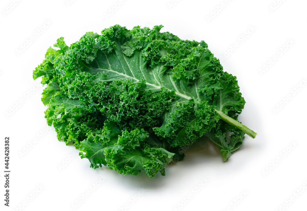 Obraz premium Kale. King of nutrition. A Kale leaf isolated on white.